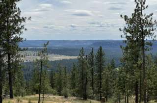 14812 N Cliff Lane Site 130